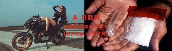 молекула духа Бугульма