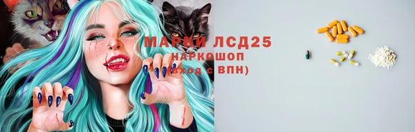 сатива Бронницы