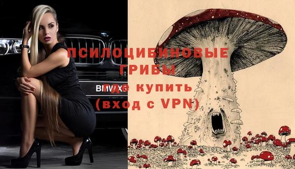 сатива Бронницы