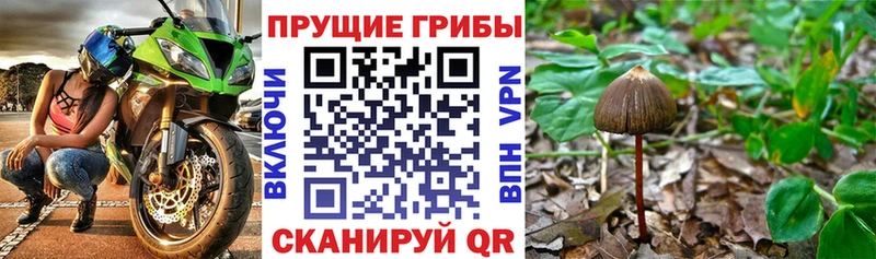 Галлюциногенные грибы Magic Shrooms  Нерехта 